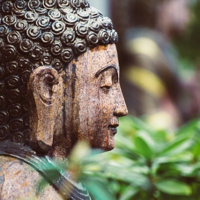 Reaction and Response